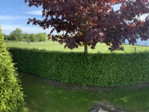 Image of Elegant Chalet in Malmedy With Private Garden