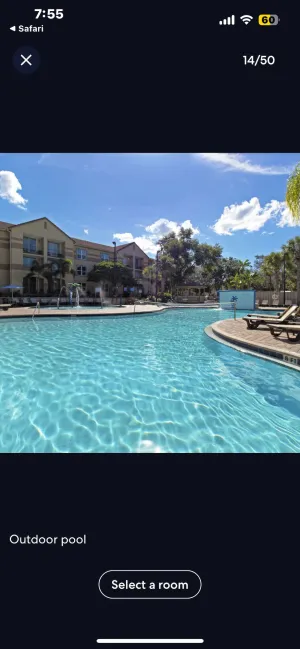 Image of Westgate Blue Tree