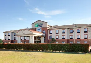 Image of Holiday Inn Express Hotel & Suites Burleson/Ft. Worth by IHG