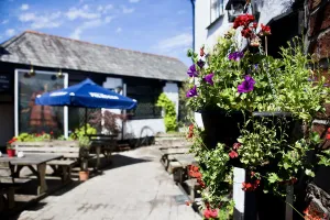 Image of The Tree Inn