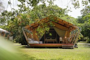 Image of Daintree Beach Resort