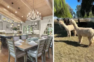 Image of @ Marbella Lane - Alpaca Farm House l Pool