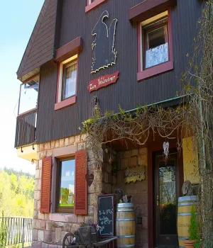 Image of Hotel Merkurwald - Restaurant Wolpertinger