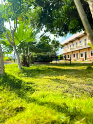Image of La Plumerias