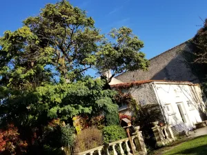Image of La Maison Blanche