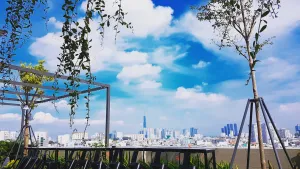 Image of SKYY Garden