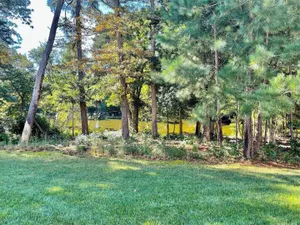 Image of Chelmer drive 19717