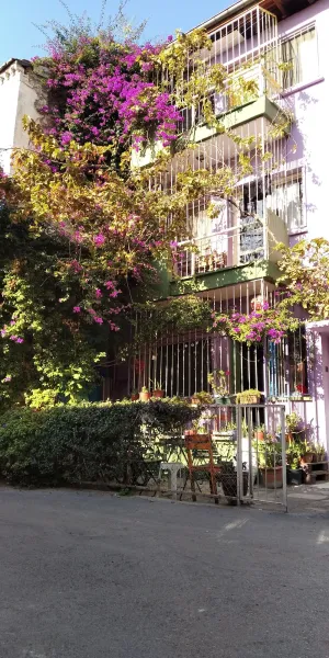 Image of Shantihome