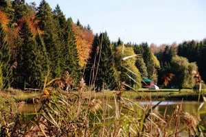 Image of Foxy Camp Insolite