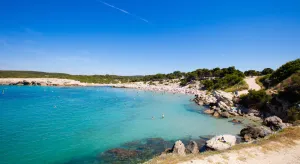 Image of Camping Pascalounet