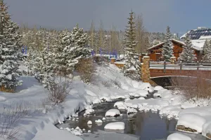 Image of Park Avenue Lofts 202 by Great Western Lodging
