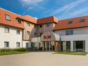 Image of ibis De Haan