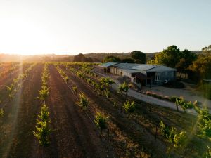 Image of Bed in a Shed Vineyard Stay