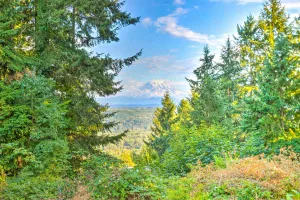 Image of 26 Mi to Mount Rainier, Game Room Puyallup Oasis