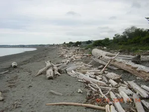 Image of Beach Look Out Retreat