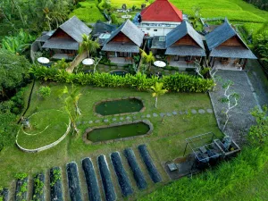 Image of Tiare Villa Ubud