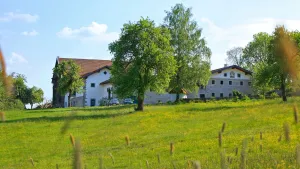 Image of Naturhotel Gidibauer-Hof