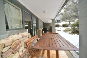 Image of Wintergreen 3 - Thredbo