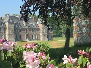 Image of Chateau de Janville