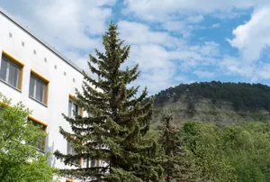 Image of Akademiehotel Jena
