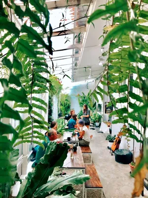 Image of The PARK Society