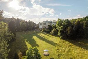 Image of Falkenstein Grand, Autograph Collection
