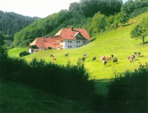Image of Comfortable holiday home in a beautiful location