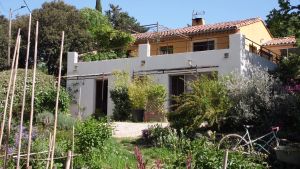 Image of Les deux chemins