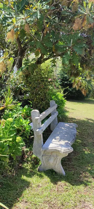 Image of St. Andrews Hostel