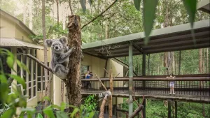 Image of Springwood Meditation Centre 春木禪修渡假中心