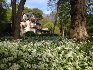 Image of Villa du Châtelet