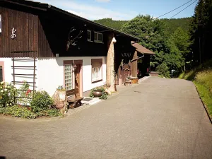 Image of Apartment in Bruchhausen right on the fishing river