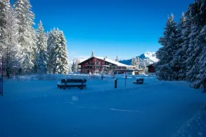 Image of Hotel Malixerhof