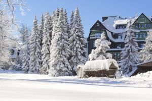 Image of BERG & SPA HOTEL GABELBACH