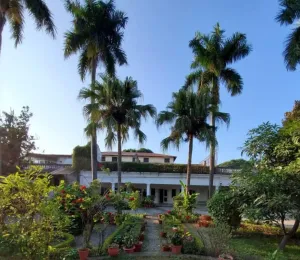 Image of Mango Tree Courtyard Dehradun
