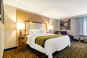 Image of Comfort Inn Raleigh Midtown