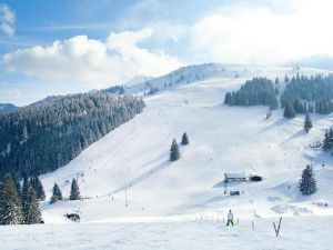 Image of Amazing apartment in Bayrischzell with wellness