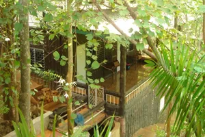 Image of Sam's Jungle Guesthouse
