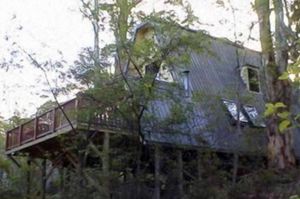 Image of Green Leaves Cabin