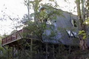 Image of Green Leaves Cabin
