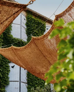 Image of Coq Hotel