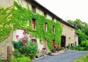 Image of L'embellie