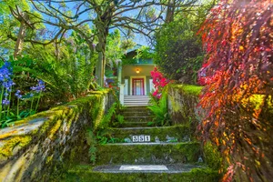 Image of Enchanted Path to a Gardenscape - 92 Walkscore!