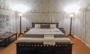 Image of Golden Rose Heritage Desert Safari Camp