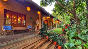 Image of Peace Lily Cottage