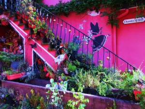 Image of Tilly's B&B and apartment house