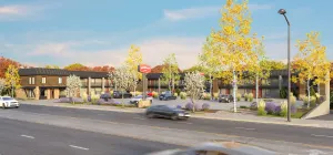 Image of Boundary By Terra Vi Durango