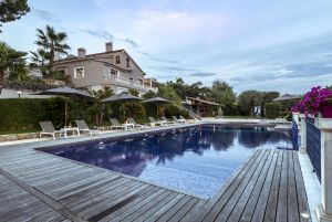 Image of TERRE DE REVE