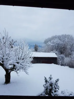 Image of Zweite Heimat