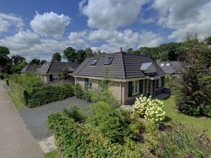 Image of Detached Villa with Outdoor Fireplace near Veluwe
